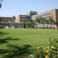 AIIMS Central Lawn